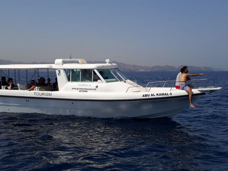 Dolphin watching Oman